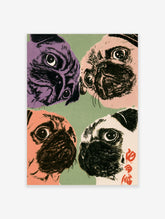 Four pug dog portraits in purple, pink, orange, and cream on a green background, pop art poster