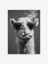 Black and white camel poster wearing sunglasses and smoking a cigarette, with smoke rising above its head.