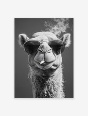 Black and white camel poster wearing sunglasses and smoking a cigarette, with smoke rising above its head.