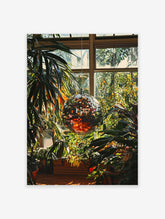 Disco ball poster reflecting sunlight amidst lush green plants in a bright greenhouse setting, a vibrant botanical print.