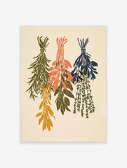 Three bundles of dried herbs in sage green, peach, and navy hanging as a botanical illustration on a cream background