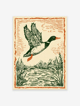 Vintage illustration of a flying duck with green and orange tones over a pond with reeds, framed by an orange border.
