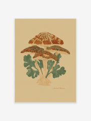 Illustrative botanical print of a cluster of orange-brown mushrooms with green leaves on a beige background