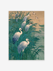 White egrets wading and flying in tall teal marsh grass with a muted sky and water background, Japanese art style