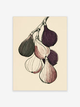 Botanical fig illustration with five hanging fruits in purple, green and blush tones on a cream background