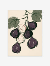 Purple fig botanical illustration with green leaves and sliced fruit on cream background