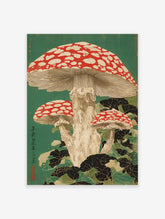 Japanese woodblock print of three red and white fly agaric mushrooms with dark foliage on a green background
