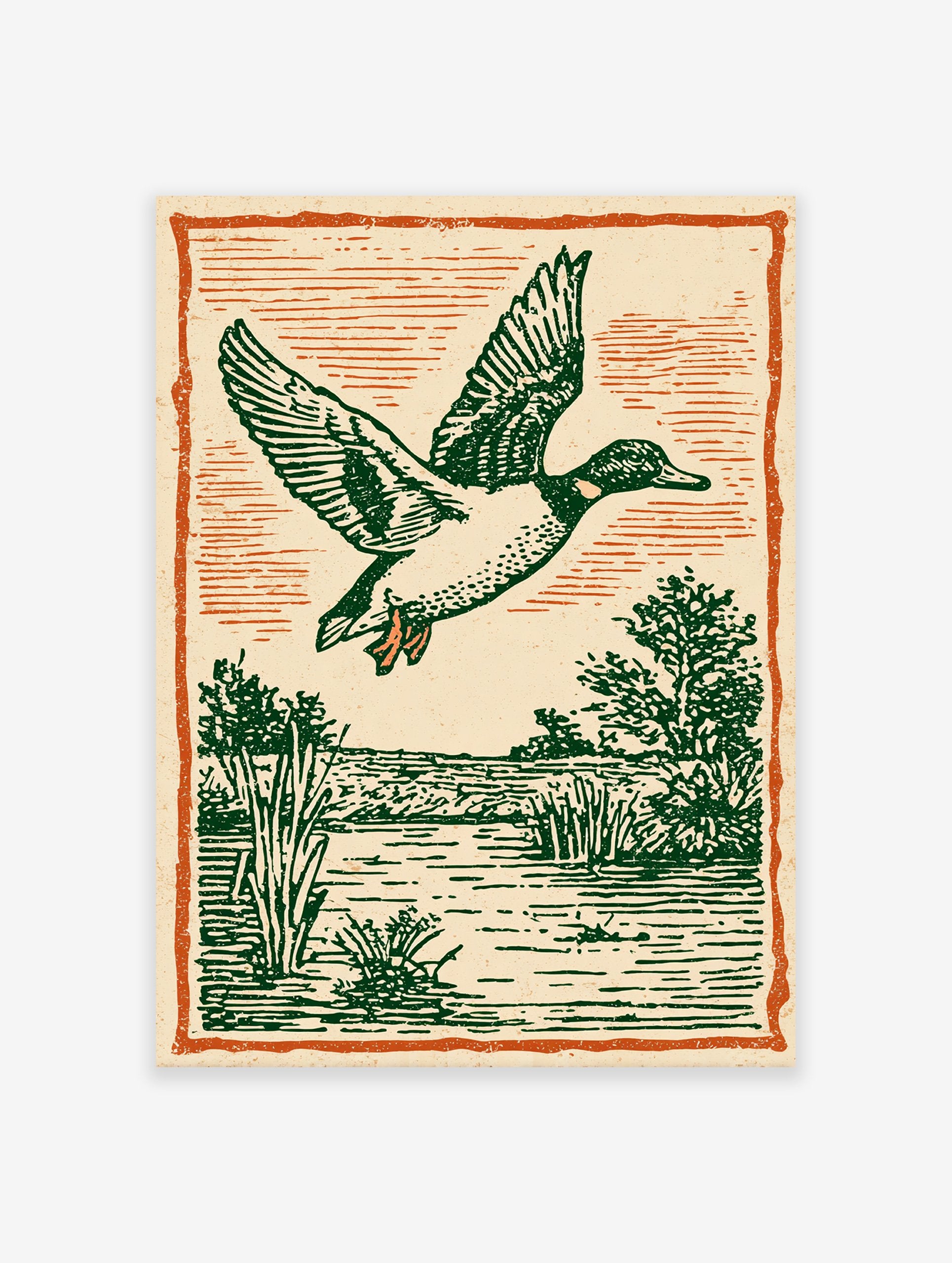 Vintage illustration of a flying duck with green feathers over a marsh and water, framed by an orange border.