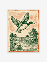 Vintage illustration of a flying duck with green feathers over a marsh and water, framed by an orange border.