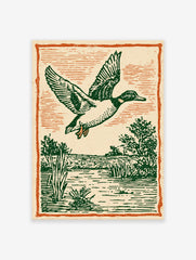 Vintage illustration of a flying duck with green feathers over a marsh and water, framed by an orange border.