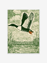Green woodcut-style print of a flying duck with spread wings over water and reeds