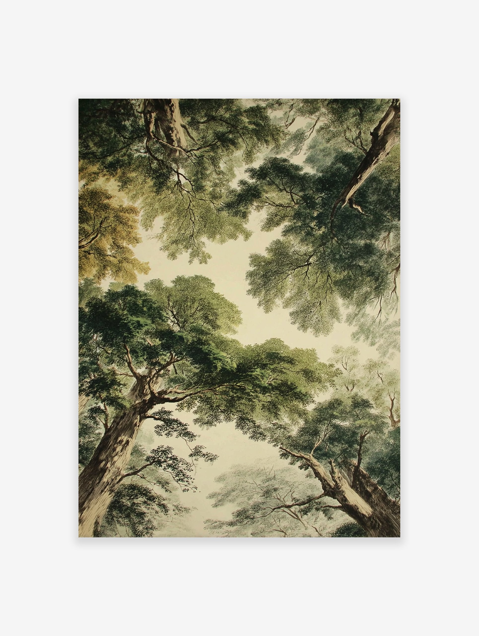 Forest canopy poster looking up through lush green trees and brown trunks against a light sky.