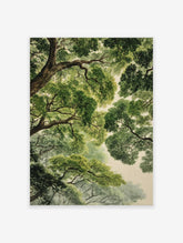 Detailed forest canopy poster showing lush green tree leaves and branches from a worm's-eye view against a light sky.