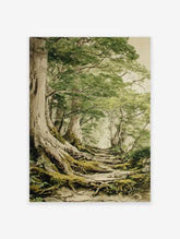 Forest Path Poster depicting a misty woodland scene with large trees, exposed mossy roots, and a winding stone path.