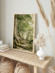 Forest Path Poster depicting a misty woodland scene with large trees, exposed mossy roots, and a winding stone path. - Image 4