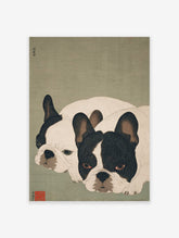 Japanese style French Bulldog art print featuring two black and white dogs lying down on a muted green background.