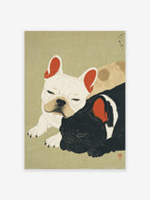 Japanese art style illustration of two sleeping French Bulldogs, one white and one black, on a light green textured background.