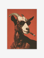 Goat poster featuring a cool goat wearing sunglasses and smoking a cigar against a vibrant red background.