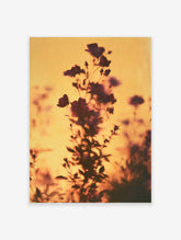 Golden hour flower silhouette with purple blooms and dark stems against a warm yellow sky
