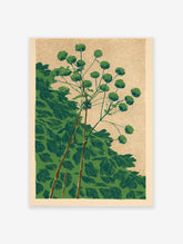 Stylized green botanical plant art print with round clustered foliage on a speckled beige background, modern illustration.