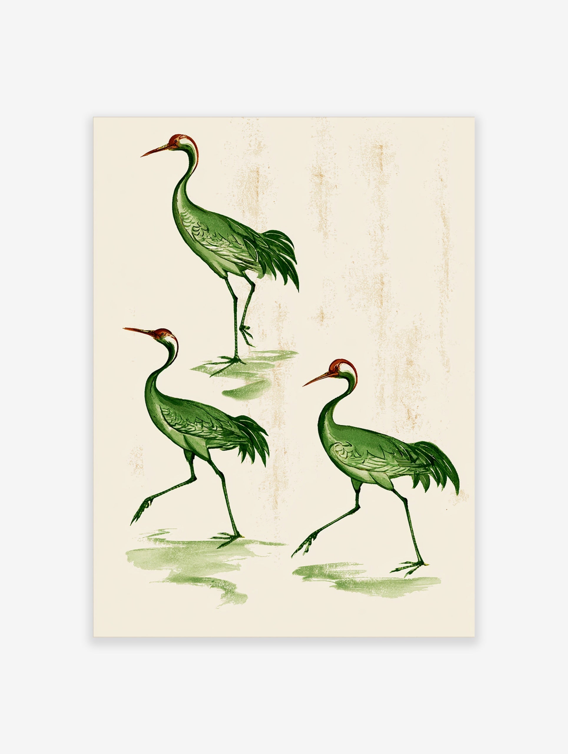 Vintage style illustration of three green cranes with red crowns on a textured cream background