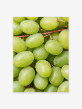 Close-up of fresh green grapes with water droplets on the vine, vibrant and natural photography print.