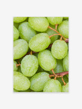 Close-up photography of fresh green grapes covered in water droplets on their stems, vibrant and natural.