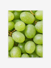 Close-up of fresh green grapes covered in water droplets, vibrant fruit photography print.
