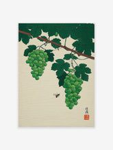 Green Grapes Wall Art botanical illustration featuring two bunches of grapes, a bee, and vine leaves on a light background.