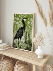 Illustrative linocut print of a black heron with white head markings, standing in green marsh, in an alternate framed mockup