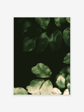 Green leaf botanical art print with sunlit foliage and dark shadow background