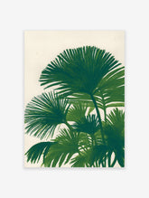 Green palm leaf botanical illustration art print on a light textured background, showing multiple tropical fronds.