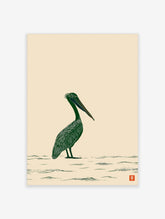 Green pelican standing in water, detailed linework, beige background, bird illustration print