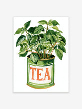 Watercolour green houseplant in a green tin labelled TEA, botanical art print