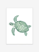 Green sea turtle watercolour illustration art print with patterned shell and flippers on white background