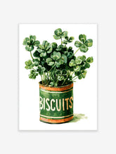 Green shamrock plant in a vintage 'BISCUITS' tin, painted botanical wall art print