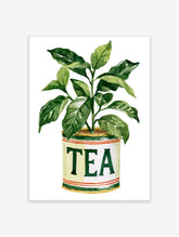 Watercolour tea plant with green leaves growing from a tin labelled TEA in dark green capitals