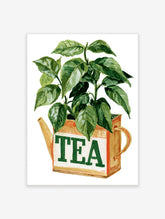 Watercolour green tea plant in a vintage watering can with TEA text on a cream panel