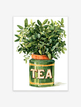 Green tea tin planter with olive plant watercolour illustration art print