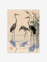 Grey heron ink wash art print with three wading birds, blue reflections and green reeds on beige paper