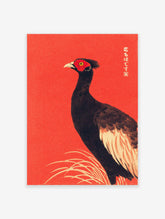 Japanese Ukiyo-e style bird wall art featuring a black pheasant with red face on a vibrant textured red background.