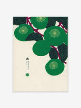 Japanese botanical print featuring green fruit and leaves on branches with Japanese text on a cream background.