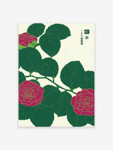 Japanese camellia botanical illustration art print with vibrant fuchsia flowers and dark green leaves on a textured cream background.