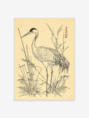 Japanese crane bird illustration standing in reeds, black ink on beige, with red signature