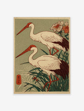 Two Japanese cranes with red beaks and dark tails stand in green reeds, woodblock print style