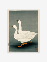 Japanese woodblock print of two white geese with orange beaks and feet on a muted greenish-grey background.