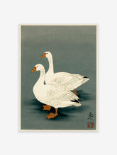Two white geese in a pond, depicted in a traditional Japanese illustration style with a green-grey background.