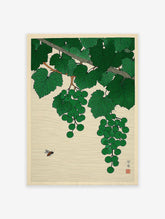Japanese woodblock print of green grapes hanging from a vine with lush leaves and a bee hovering in a cream background.