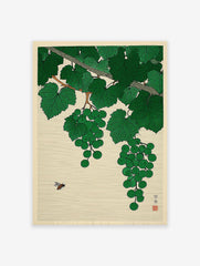 Japanese woodblock print of green grapes hanging from a vine with lush leaves and a bee hovering in a cream background.