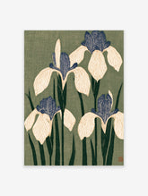 Japanese iris flower art print with cream petals and blue centres on green background